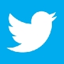 twitterbirdwhiteonblue